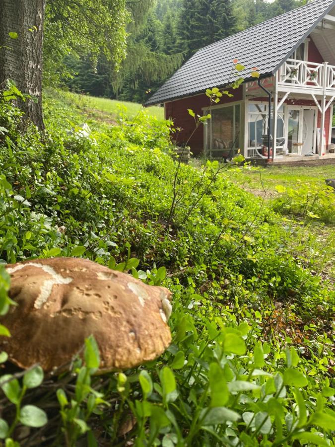 Forest House Targanice Dış mekan fotoğraf