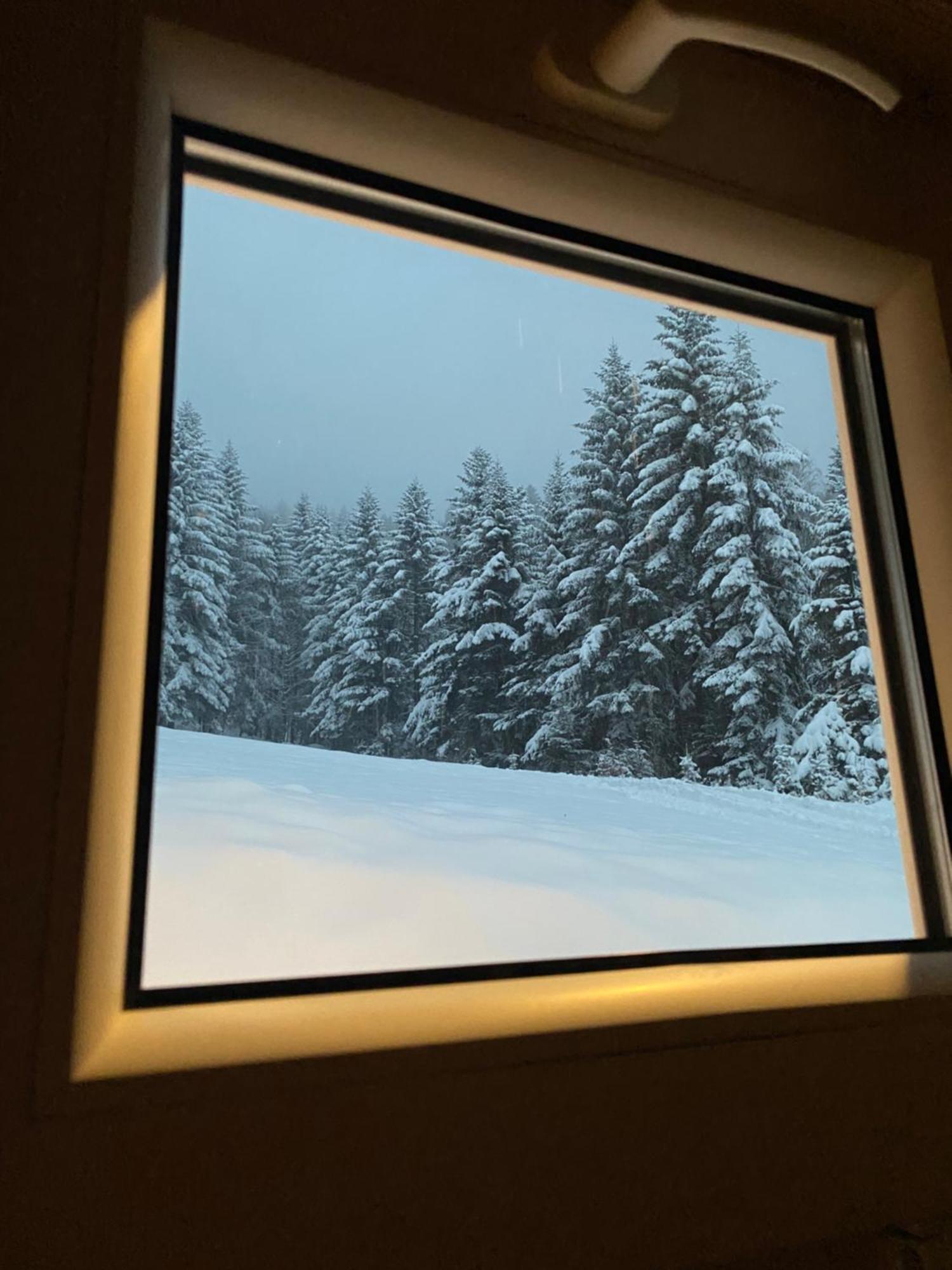 Forest House Targanice Dış mekan fotoğraf