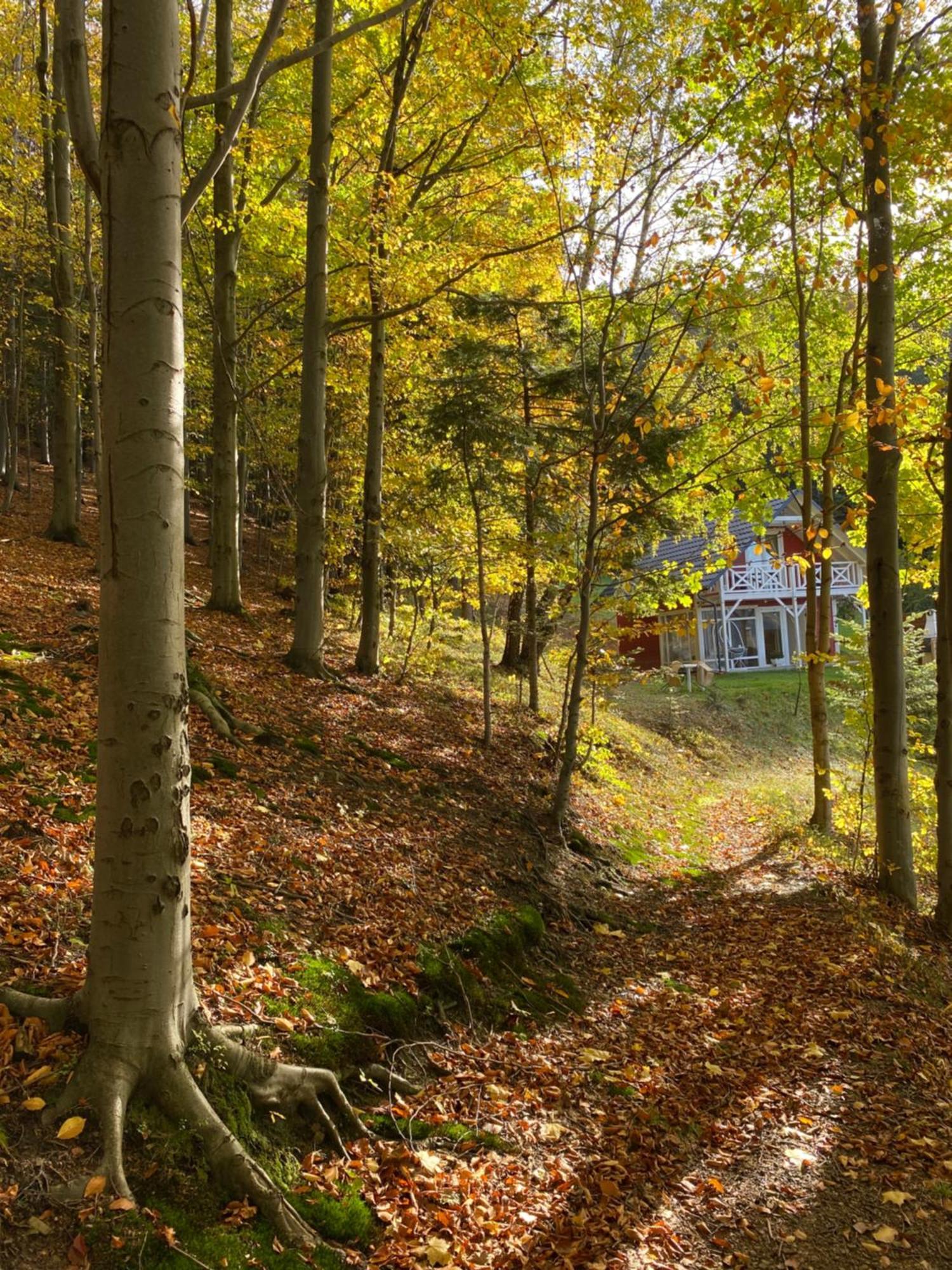 Forest House Targanice Dış mekan fotoğraf
