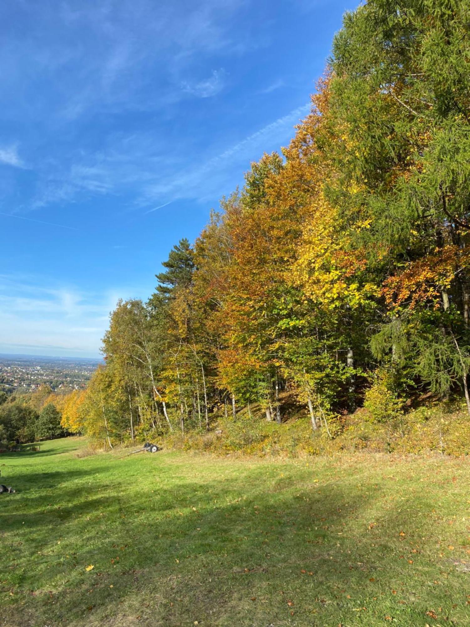 Forest House Targanice Dış mekan fotoğraf