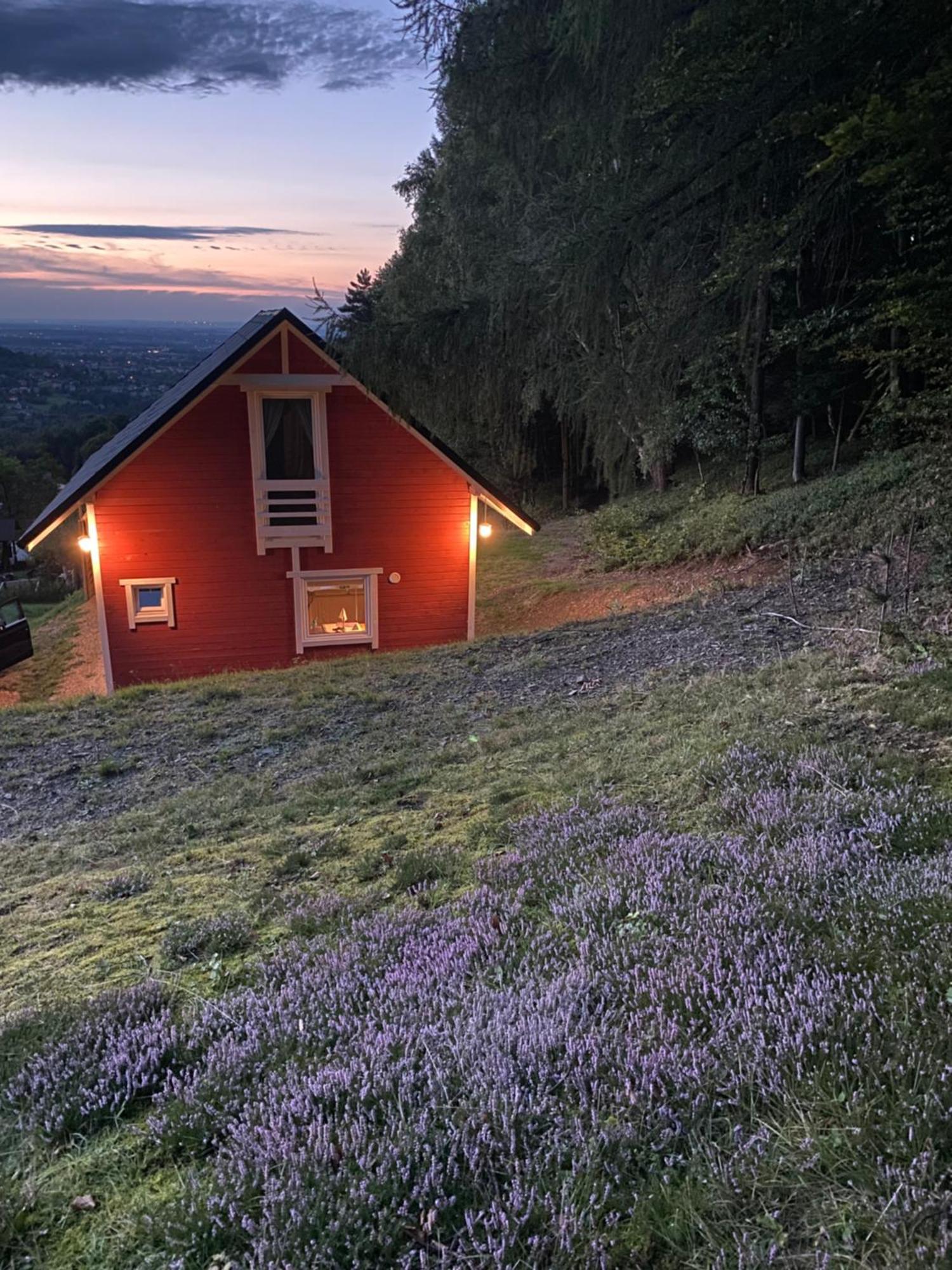 Forest House Targanice Dış mekan fotoğraf